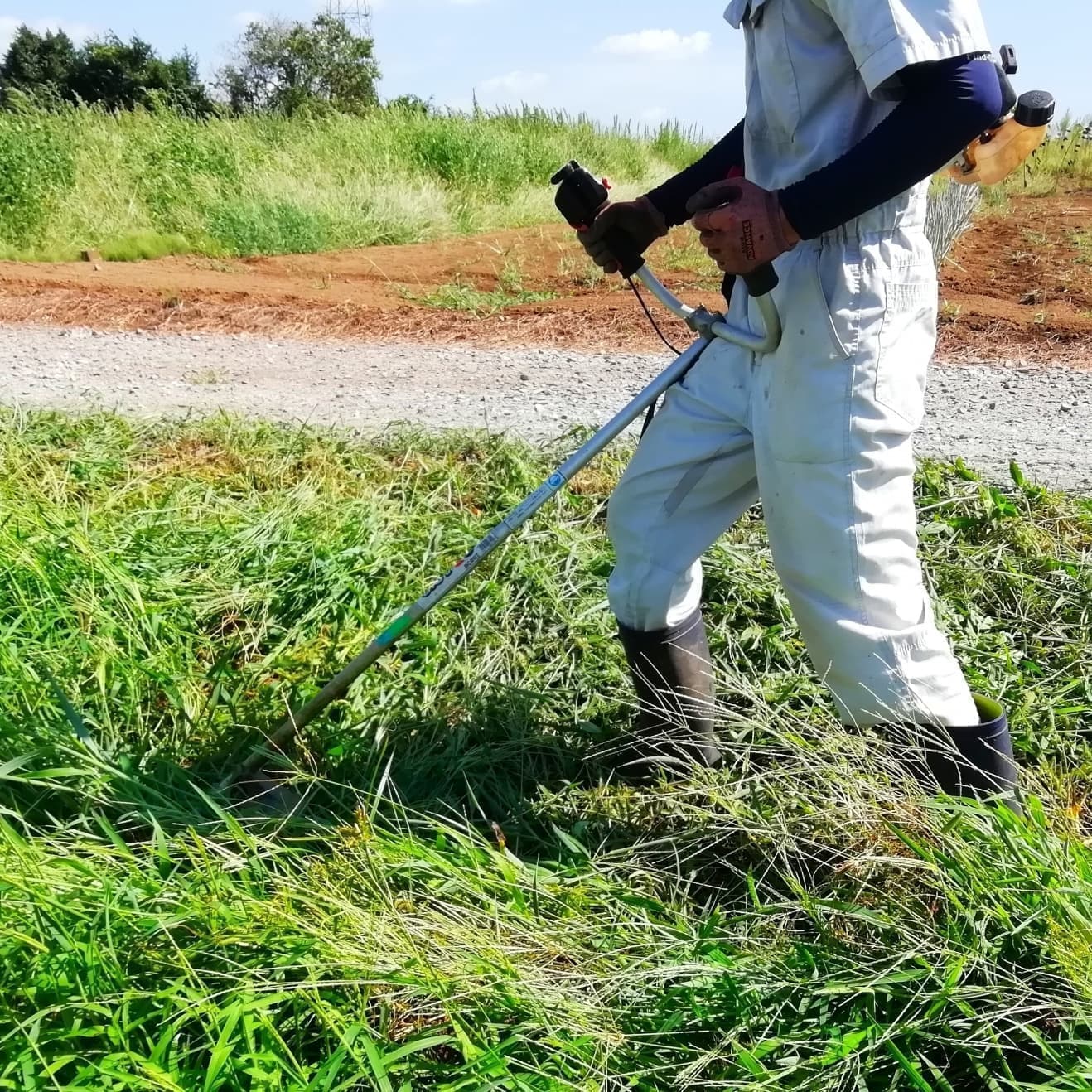 草刈り 大府市 | 大府市で草刈りならお庭の窓口大府市