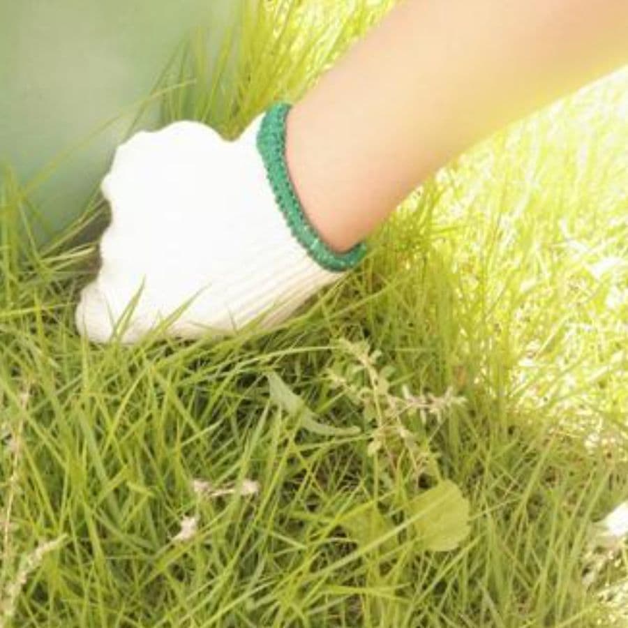 草取り 大府市 | 大府市で草取りならお庭の窓口大府市