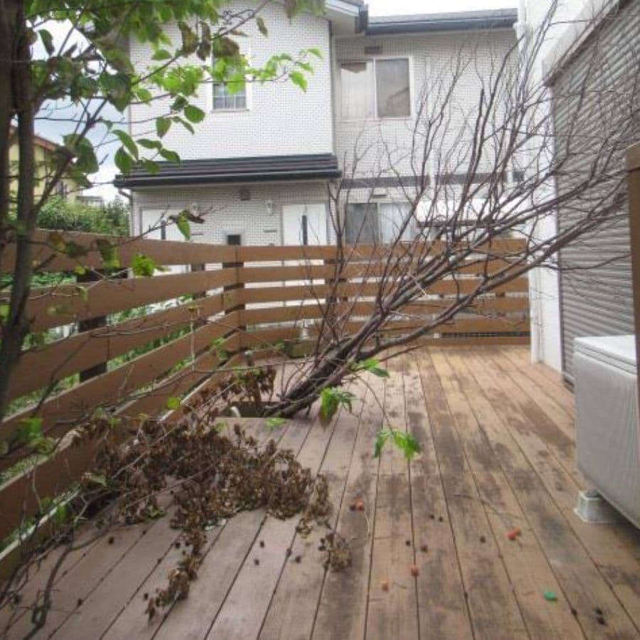 倒木撤去 大府市 | 大府市で庭木の倒木撤去ならお庭の窓口大府市