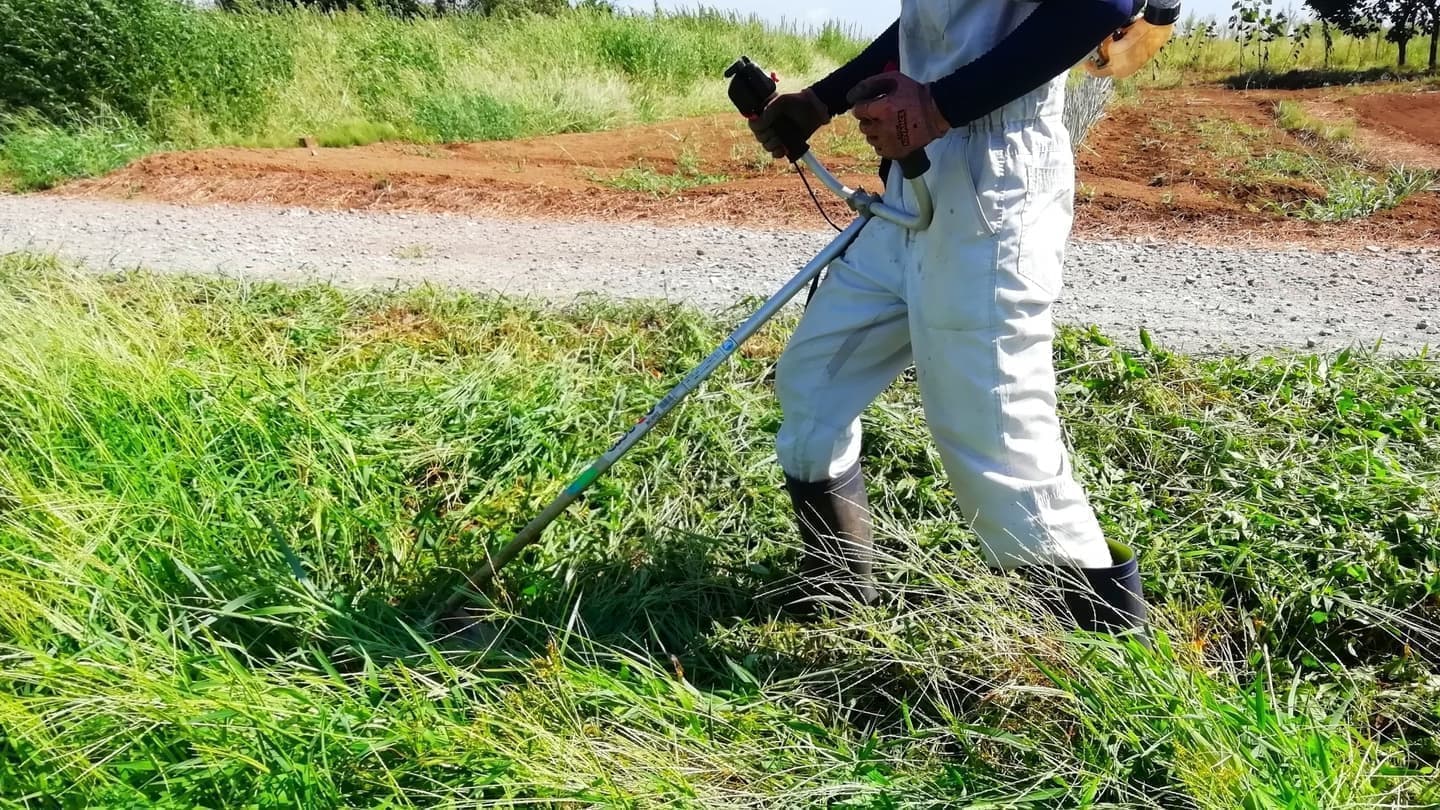 草刈り 大府市 | 大府市で草刈りならお庭の窓口大府市