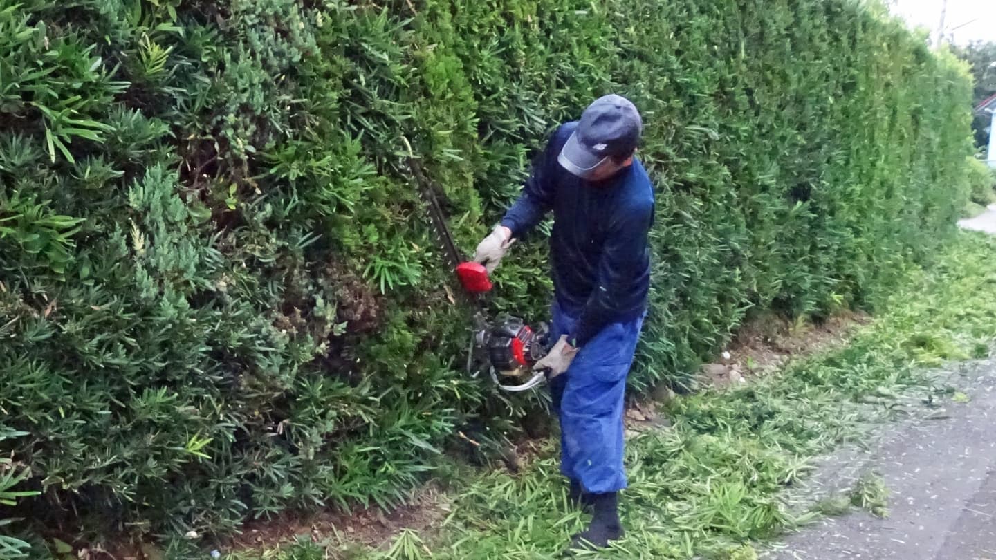 生垣剪定 大府市 | 大府市で生垣剪定ならお庭の窓口大府市