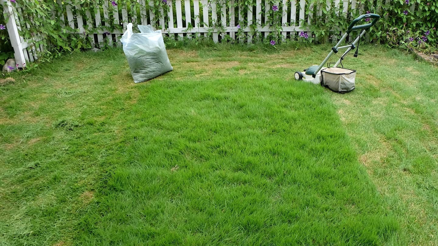 芝生の手入れ 大府市 | 大府市で芝生の手入れならお庭の窓口大府市
