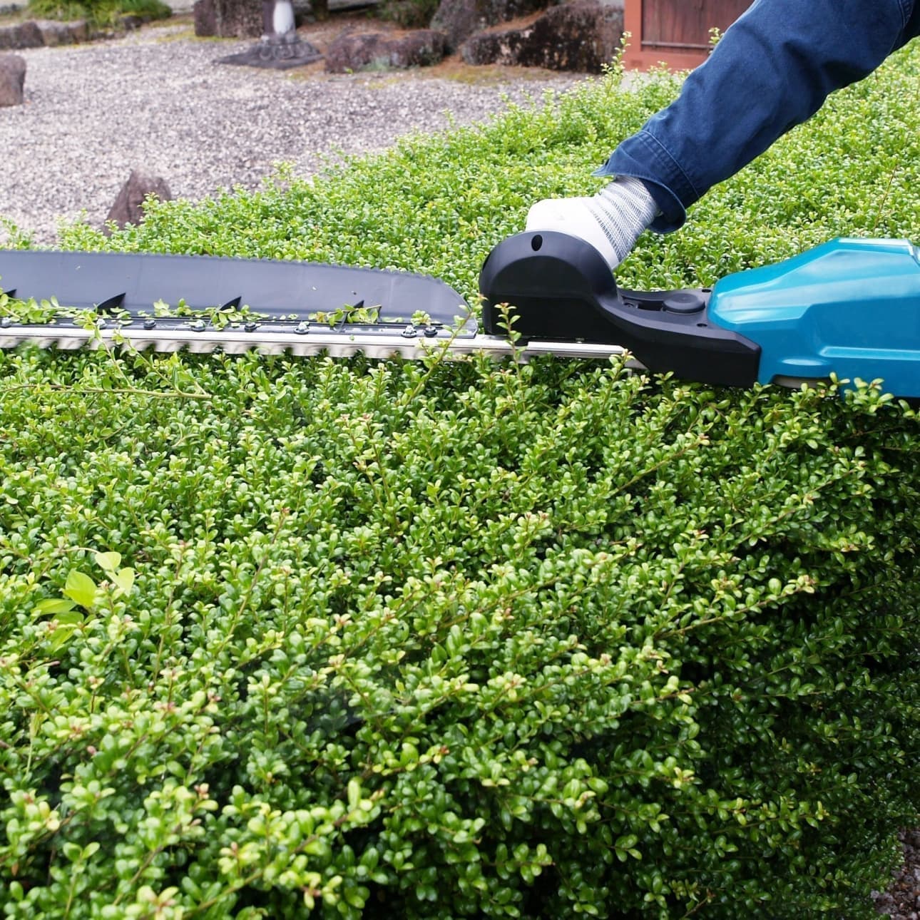 植込み剪定 大府市 | 大府市で庭木の植込み剪定ならお庭の窓口大府市