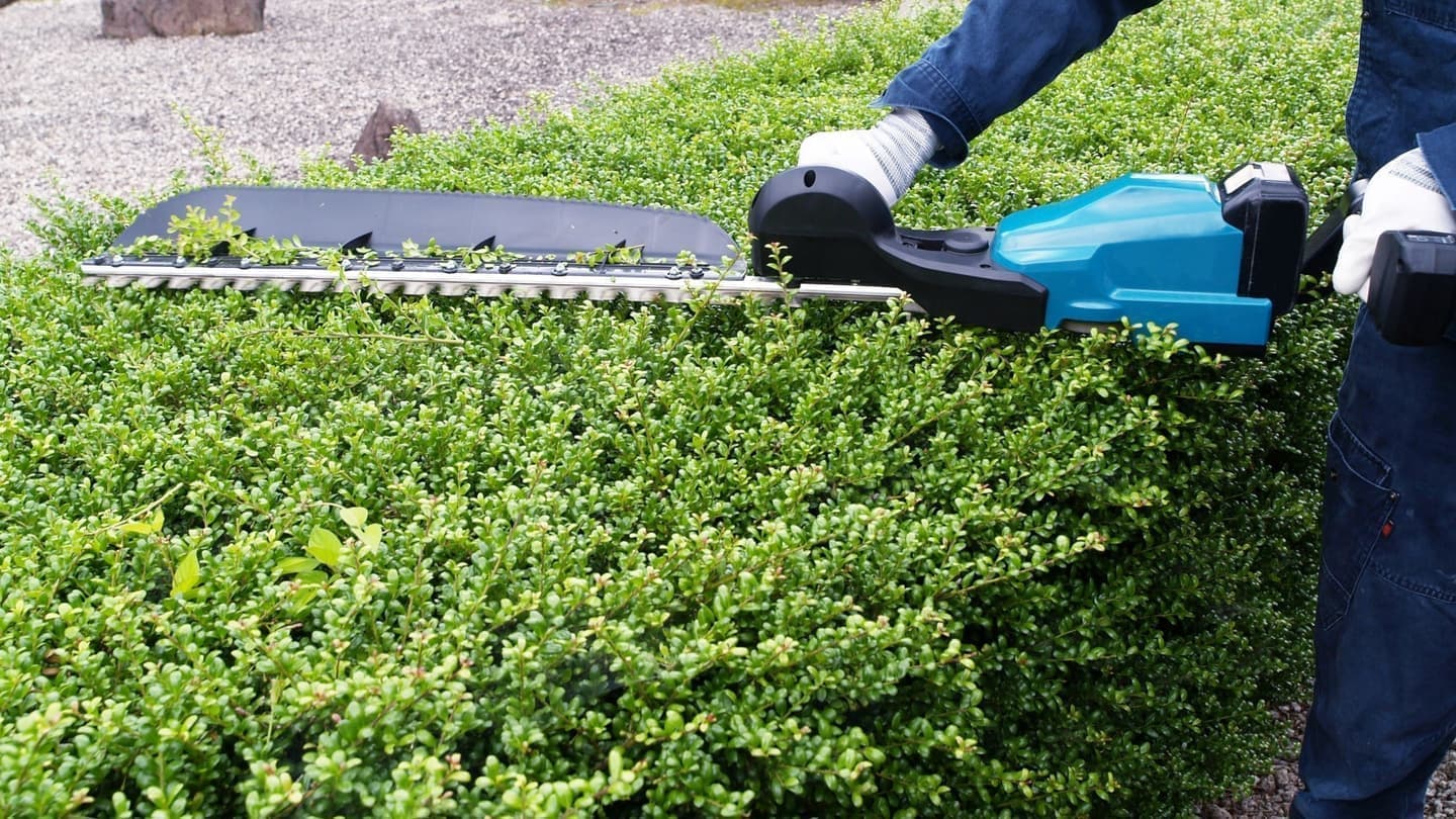 植込み剪定 大府市 | 大府市で植込み剪定ならお庭の窓口大府市