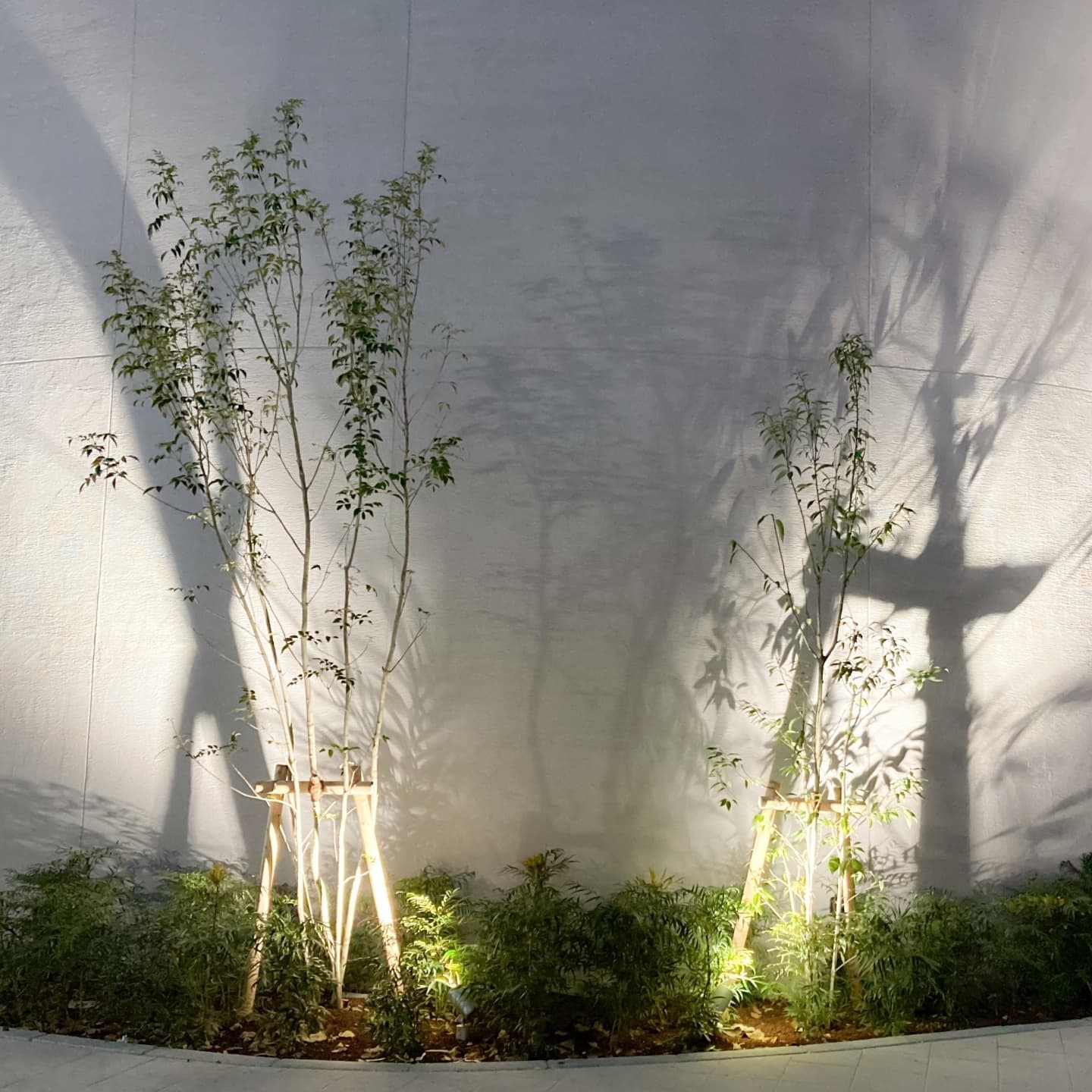 庭木の植栽 大府市 | 大府市で庭木の植栽ならお庭の窓口大府市