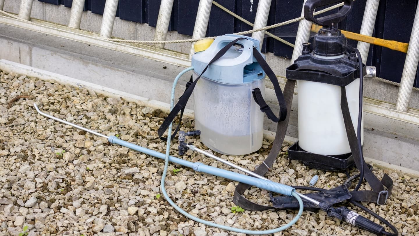 庭木の消毒・害虫対策 大府市 | 大府市で庭木の消毒・害虫対策ならお庭の窓口大府市