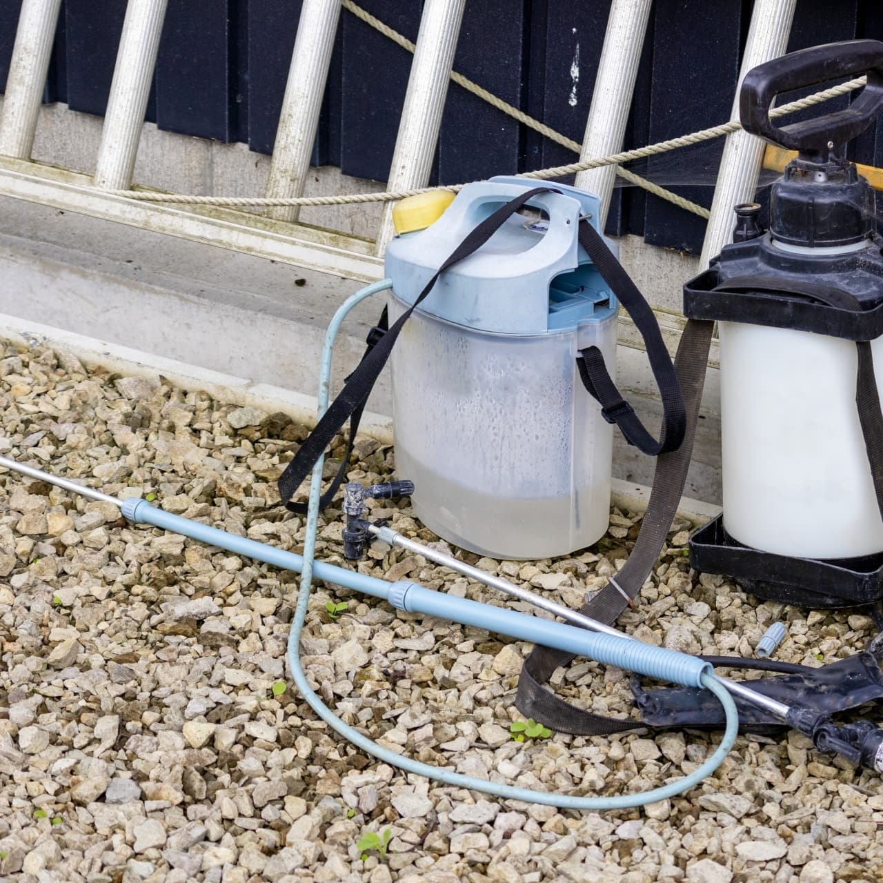 庭木の消毒・害虫対策 大府市 | 大府市で庭木の消毒・害虫対策ならお庭の窓口大府市